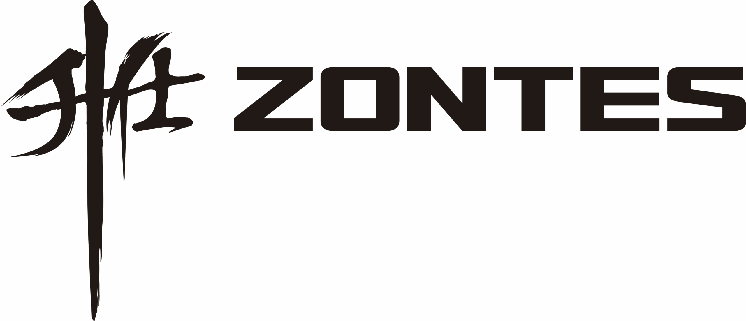 Zontes